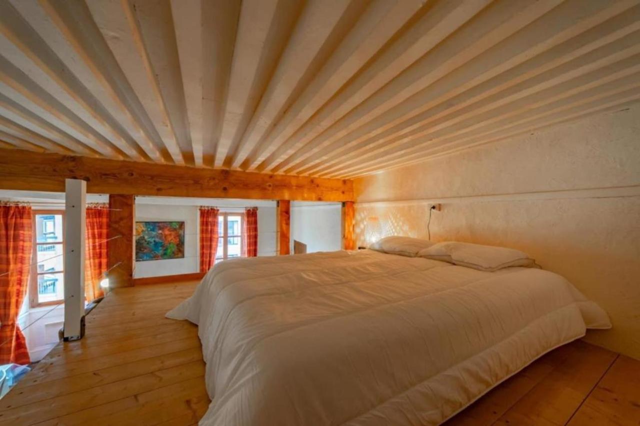 Apartment Classified 2 Stars In The Heart Of The Historic Center Of Annecy Dış mekan fotoğraf