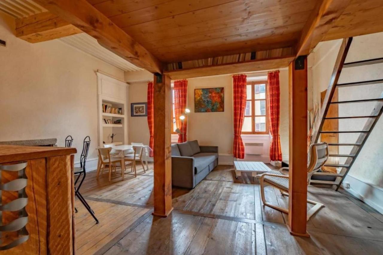 Apartment Classified 2 Stars In The Heart Of The Historic Center Of Annecy Dış mekan fotoğraf